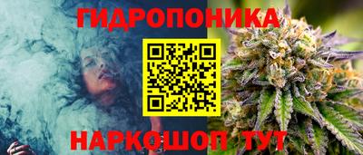 прущие грибы Заволжье